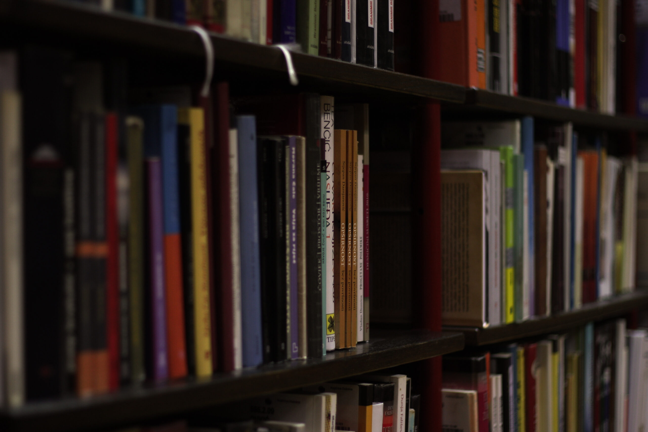 A bookshelf containing books and their wisdom.